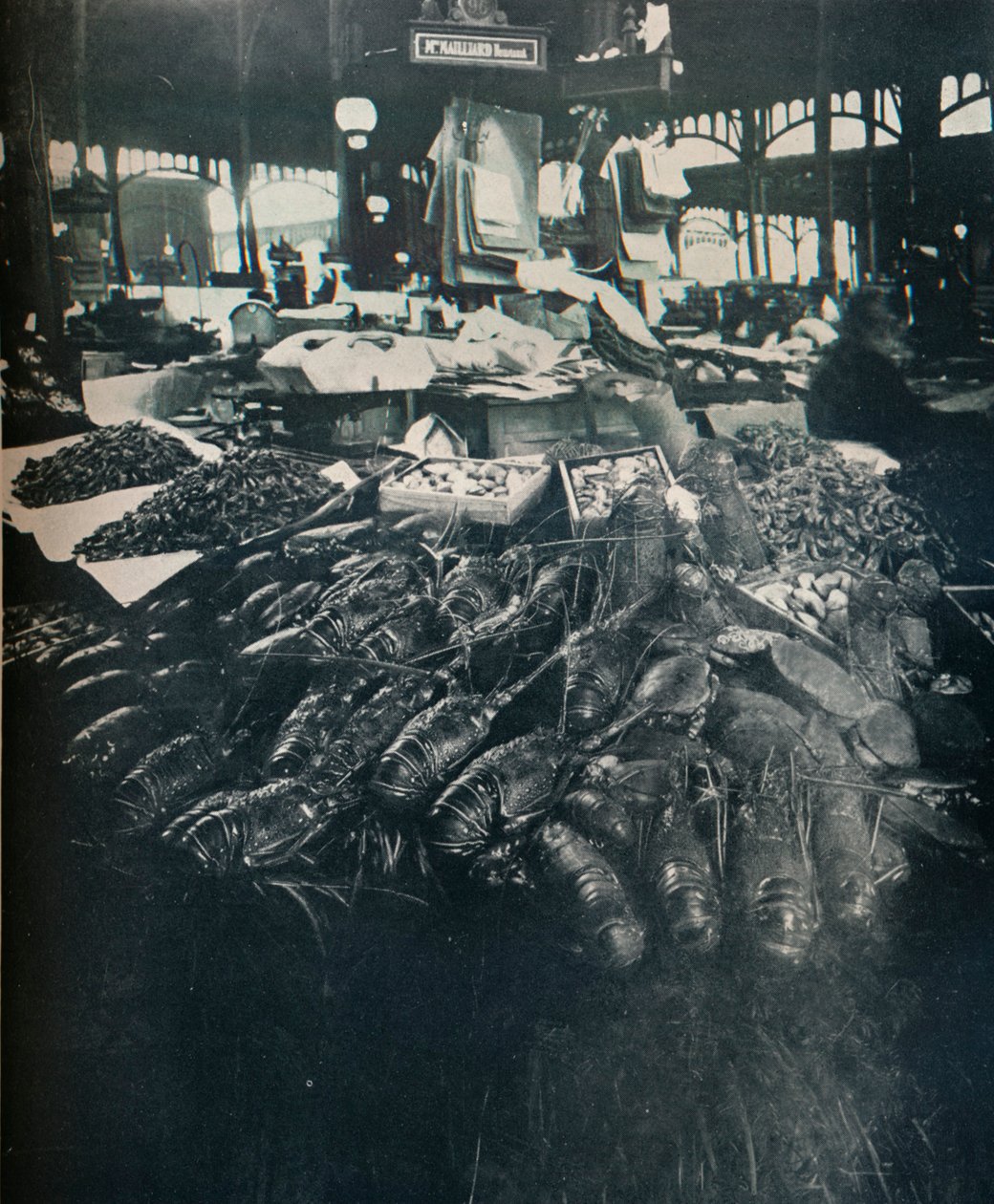 फिश मार्केट, c1877-1927, 1929 द्वारा यूजेन एटगेट