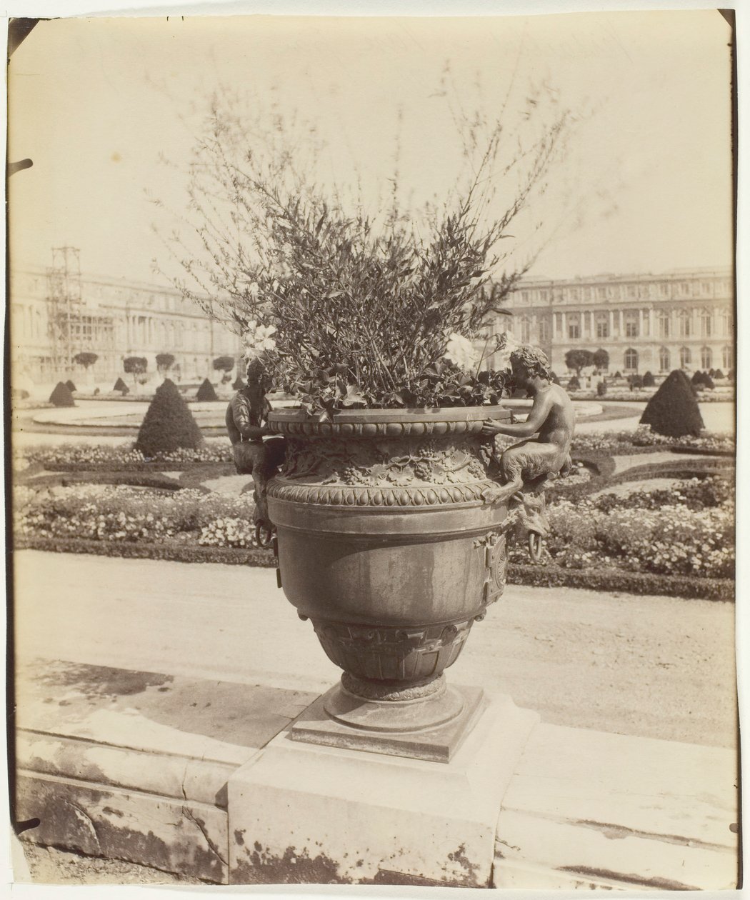 वर्साय, बलिन द्वारा फूलदान, 1902। द्वारा यूजेन एटगेट