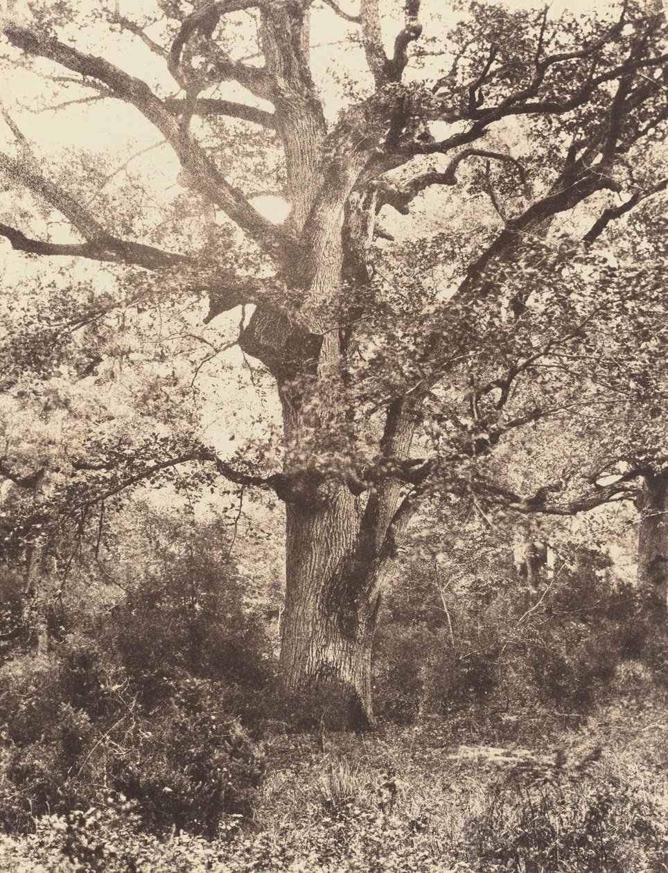 बोडमेर के पास, 1860 के दशक। द्वारा यूजेन क्यूवेलियर