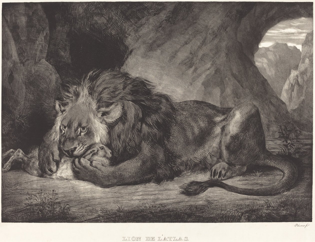 एटलस पर्वत का शेर लायन डे ला एटलस, 1829। द्वारा यूजीन डेलाक्रोइक्स