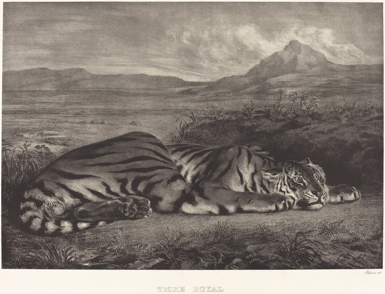 रॉयल टाइगर टाइग्रे रॉयल, 1829। द्वारा यूजीन डेलाक्रोइक्स