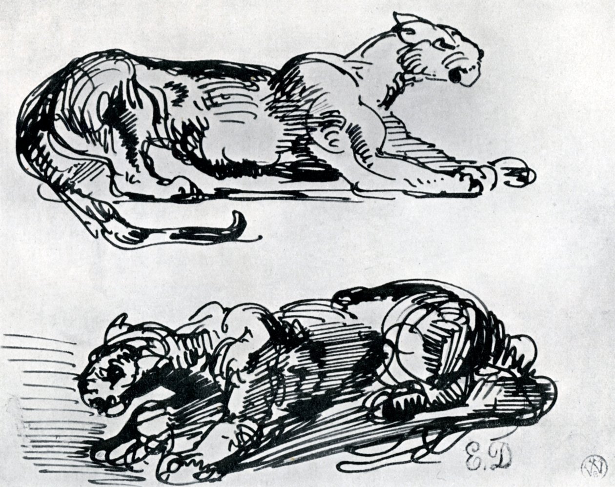 पैंथर्स का अध्ययन, 1913 द्वारा फर्डिनेंड विक्टर यूजीन डेलाक्रोइक्स