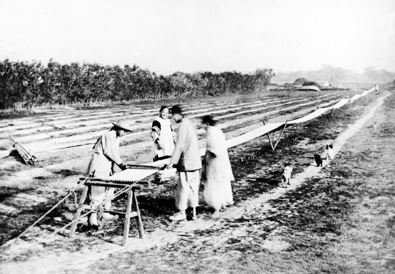 चीनी बुनकर, c.1870-80 द्वारा यूरोपीय फोटोग्राफर
