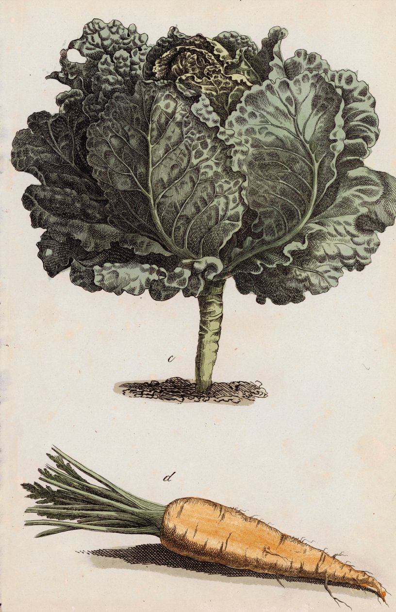  द्वारा यूरोपीय स्कूल