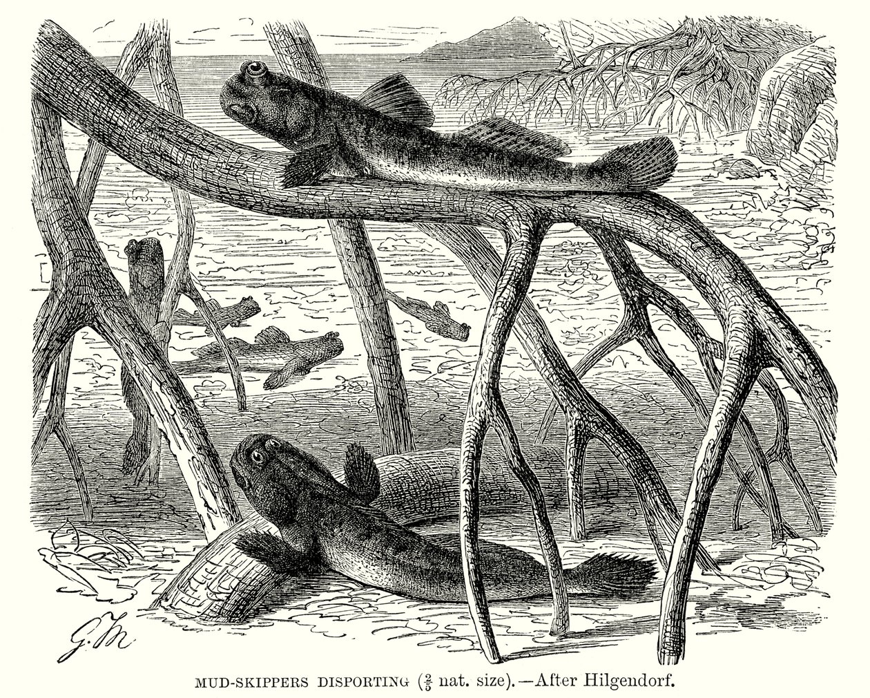  द्वारा यूरोपीय स्कूल