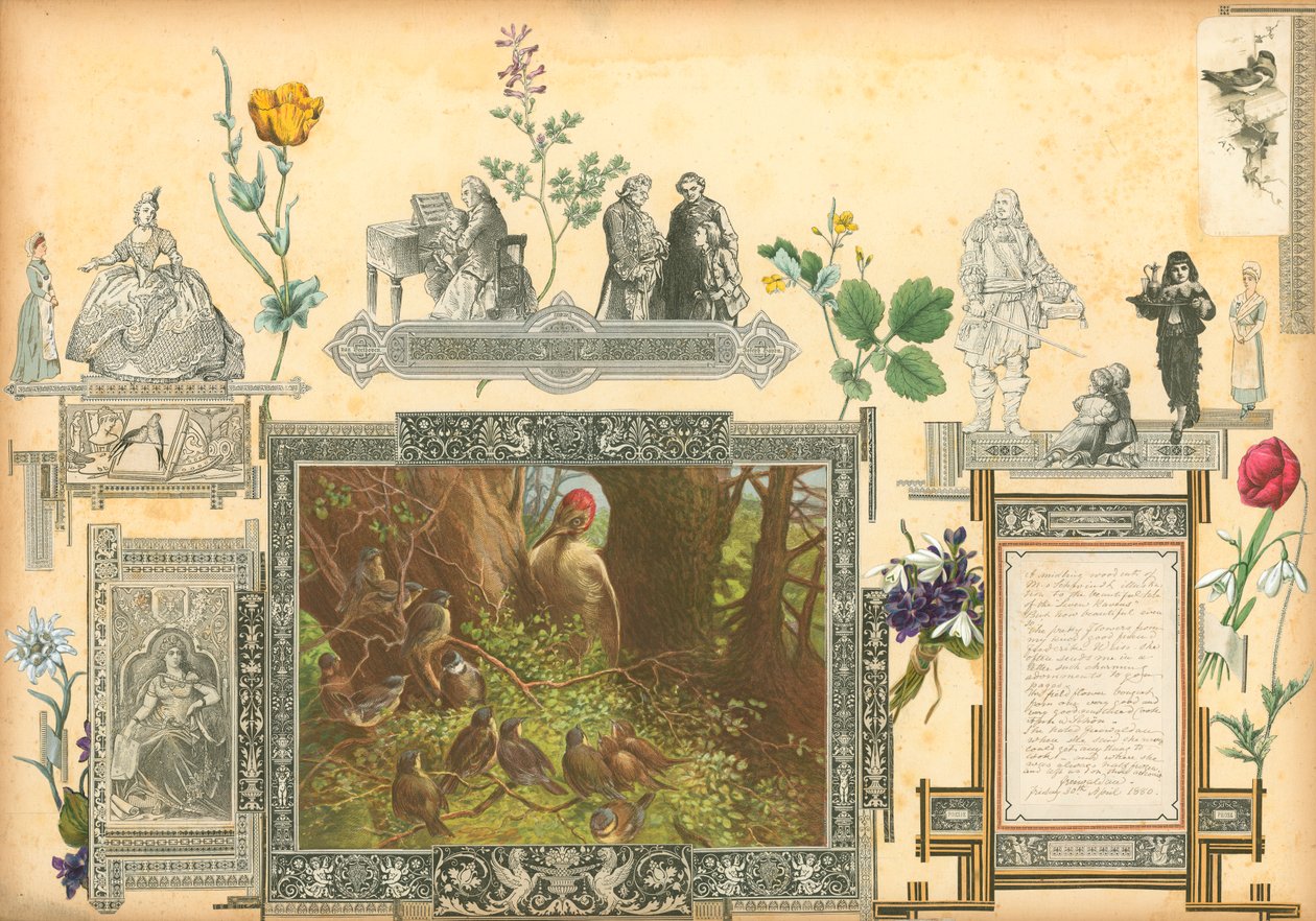  द्वारा यूरोपीय स्कूल