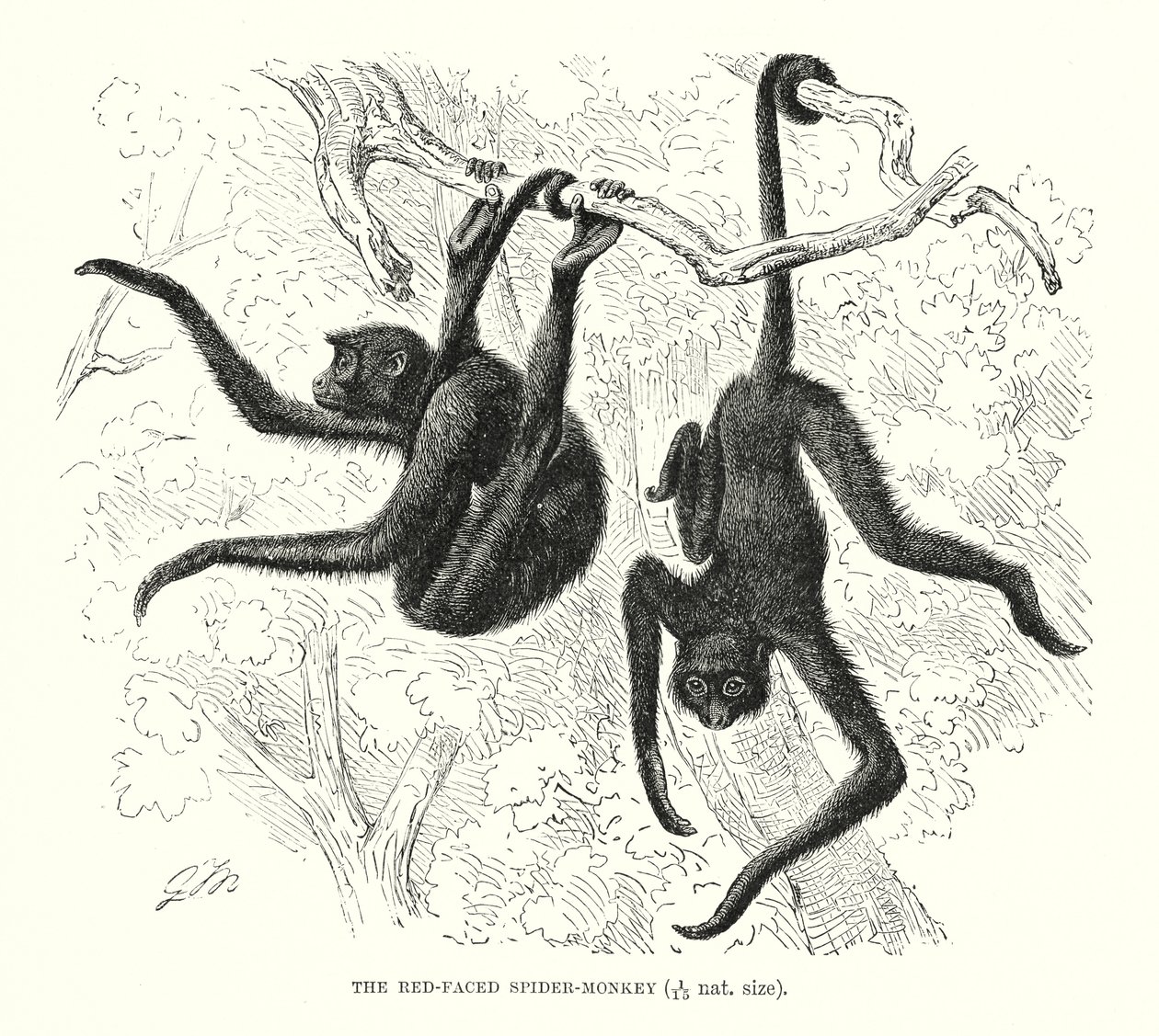  द्वारा यूरोपीय स्कूल