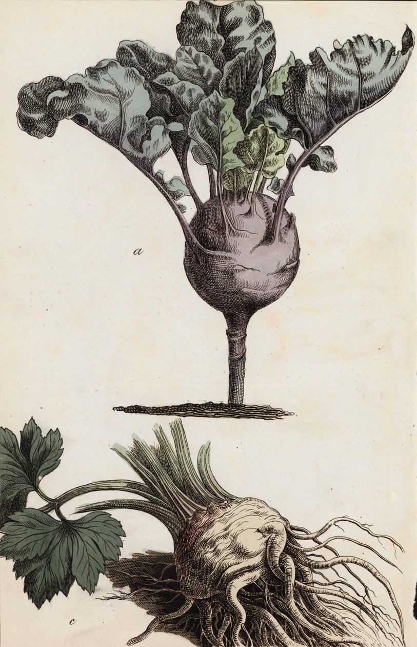  द्वारा यूरोपीय स्कूल