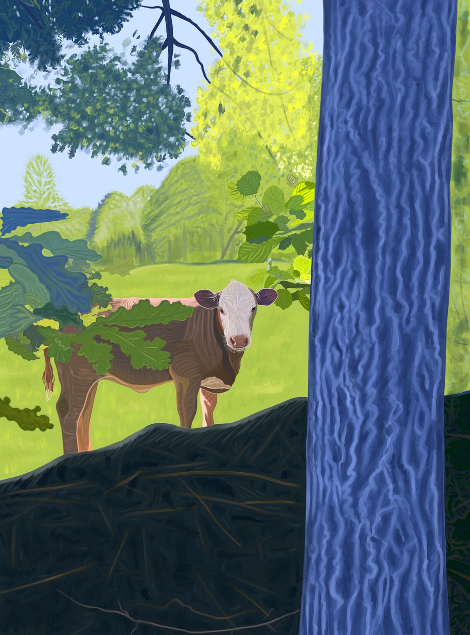  द्वारा इवान स्क्लर