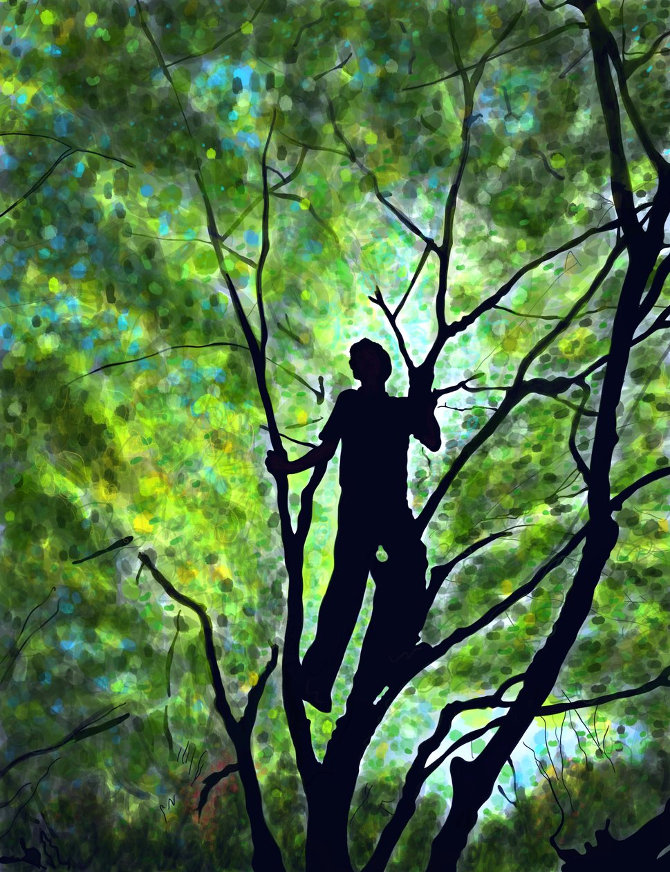  द्वारा इवान स्क्लर
