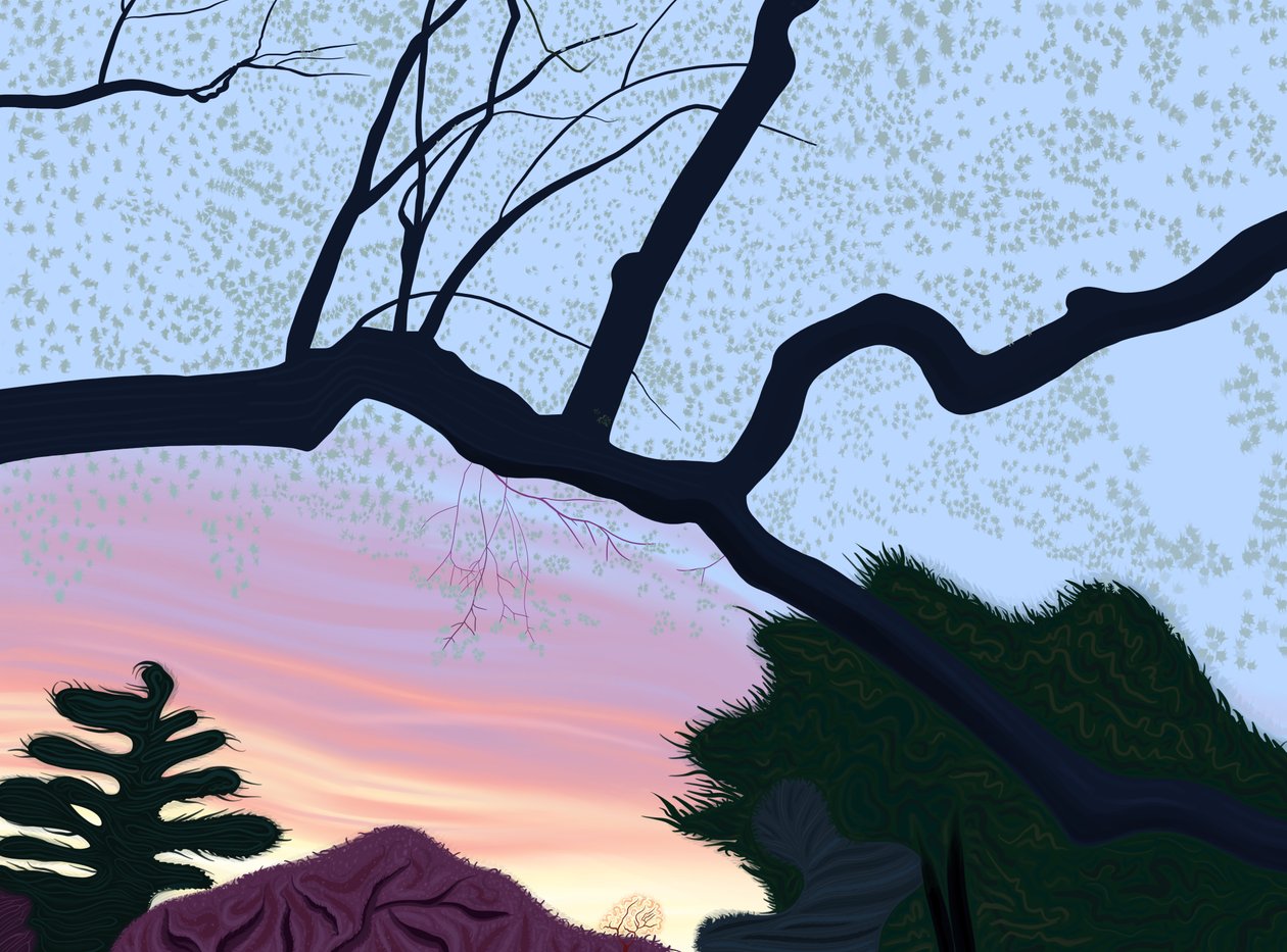  द्वारा इवान स्क्लर