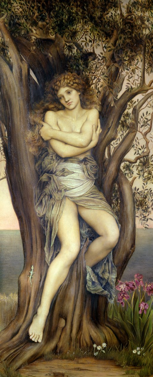 द ड्रायड, 1884-85 द्वारा एवलिन डी मॉर्गन