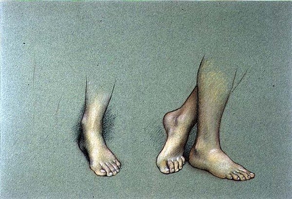पैरों का अध्ययन (कागज पर पेस्टल) द्वारा एवलिन डी मॉर्गन