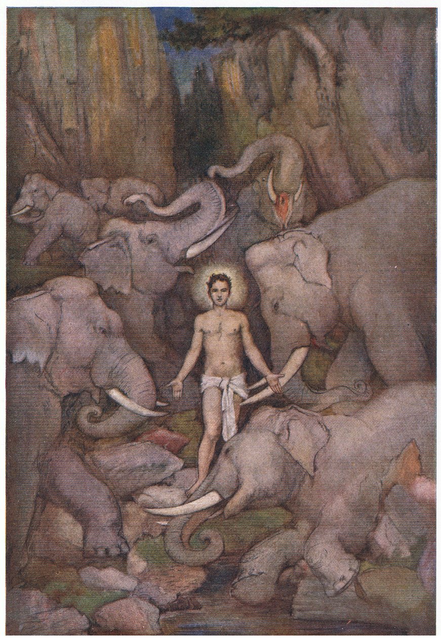  द्वारा एवलिन पॉल