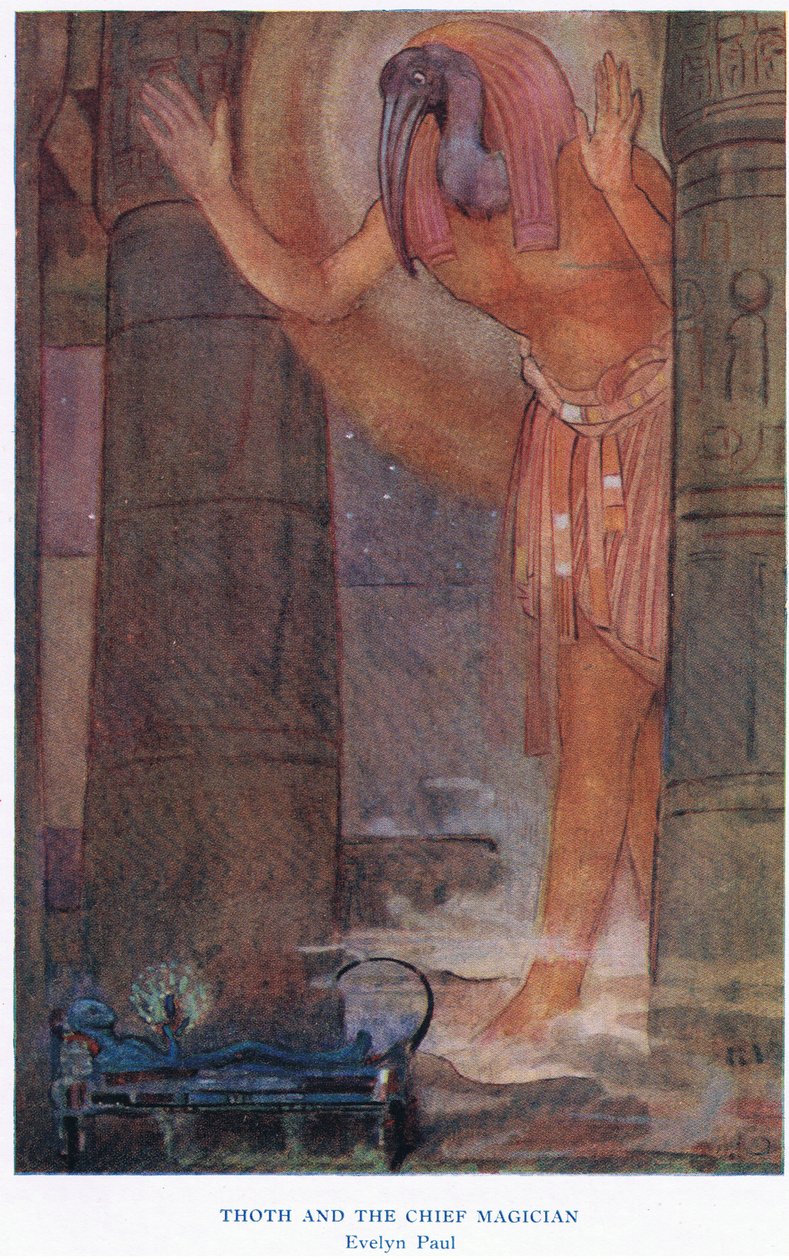  द्वारा एवलिन पॉल
