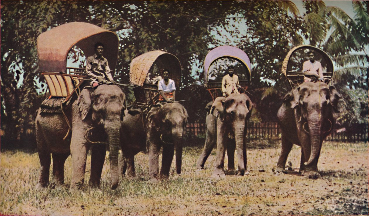 सियाम, c1930s द्वारा ईवोलिंग गैलोवे