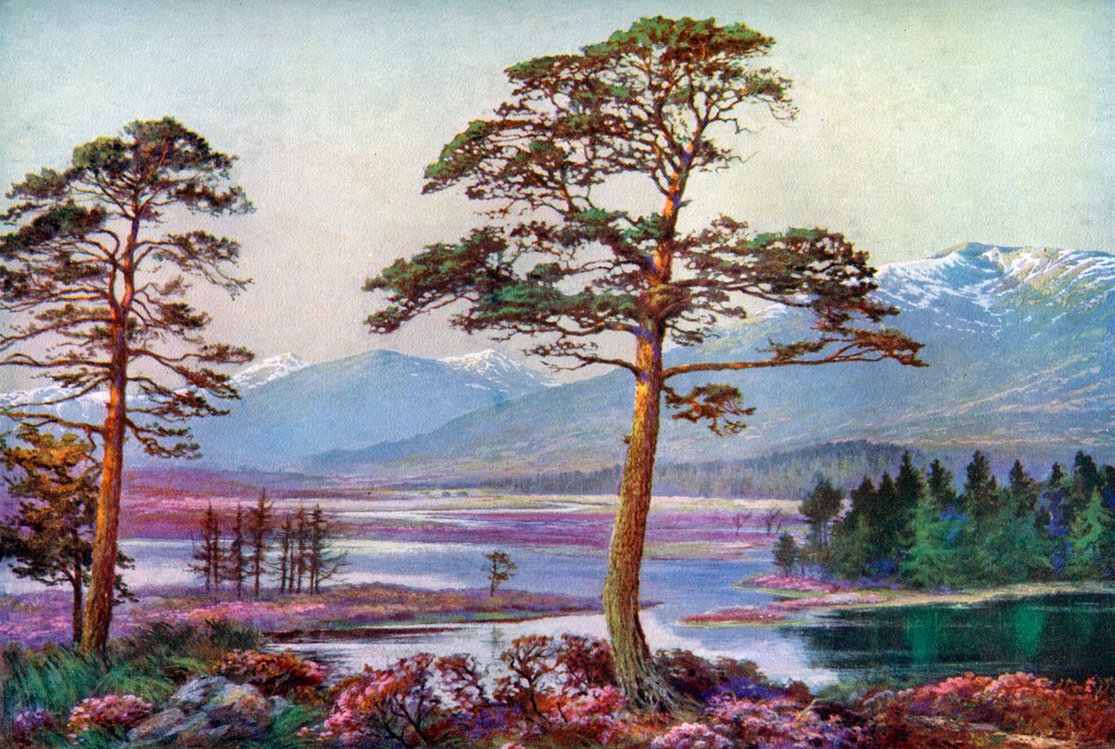 लोच टुल्ला, ब्लैक माउंट, अर्गिलशायर, स्कॉटलैंड, 1924-1926 पर। द्वारा एफसी वर्ले