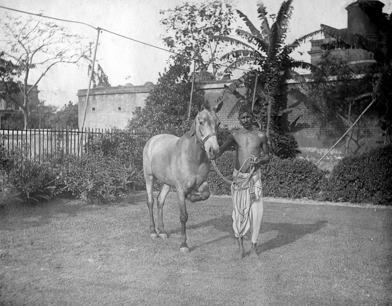 मैन विथ ए हॉर्स, अलीपुर, भारत, 1905-1906 द्वारा FL पीटर्स