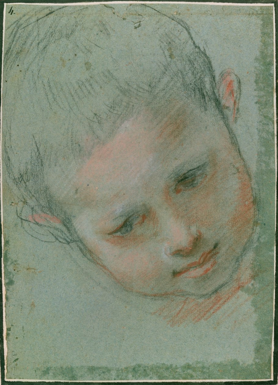 एक लड़के का सिर, c.1586-89 काला, लाल, सफेद और मांस टोंड चाक) द्वारा फेडेरिको फियोरी बरोची या बरोकियो
