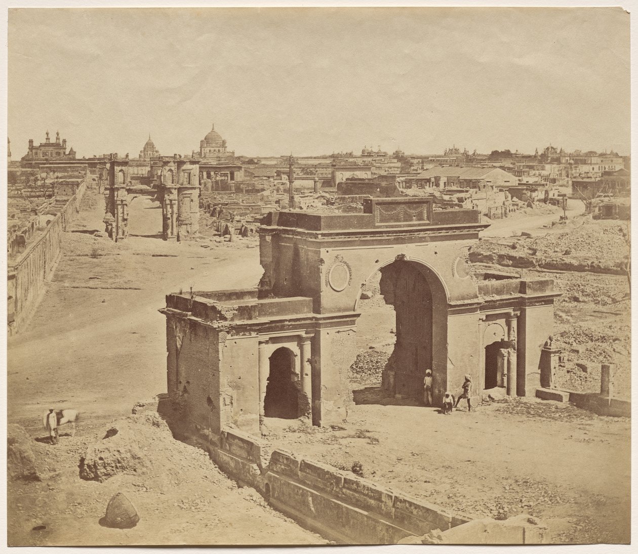  द्वारा फेलिस ए बीटो