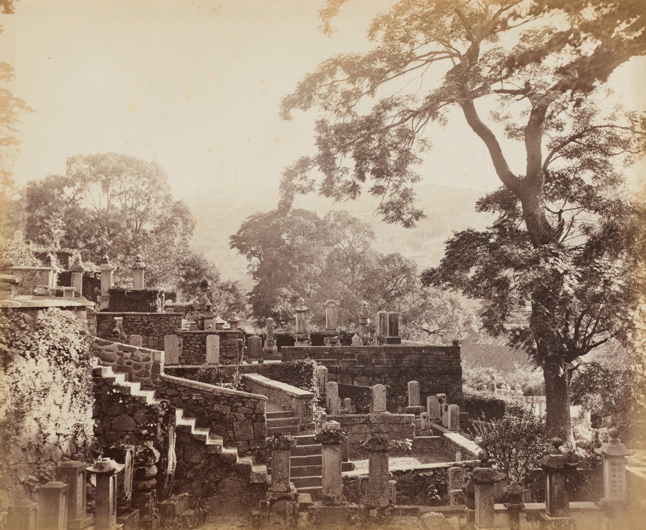  द्वारा फेलिस ए बीटो