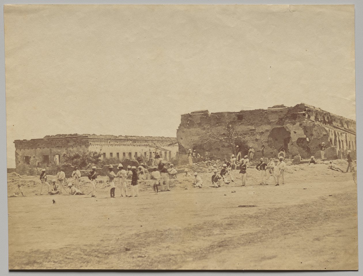  द्वारा फेलिस ए बीटो
