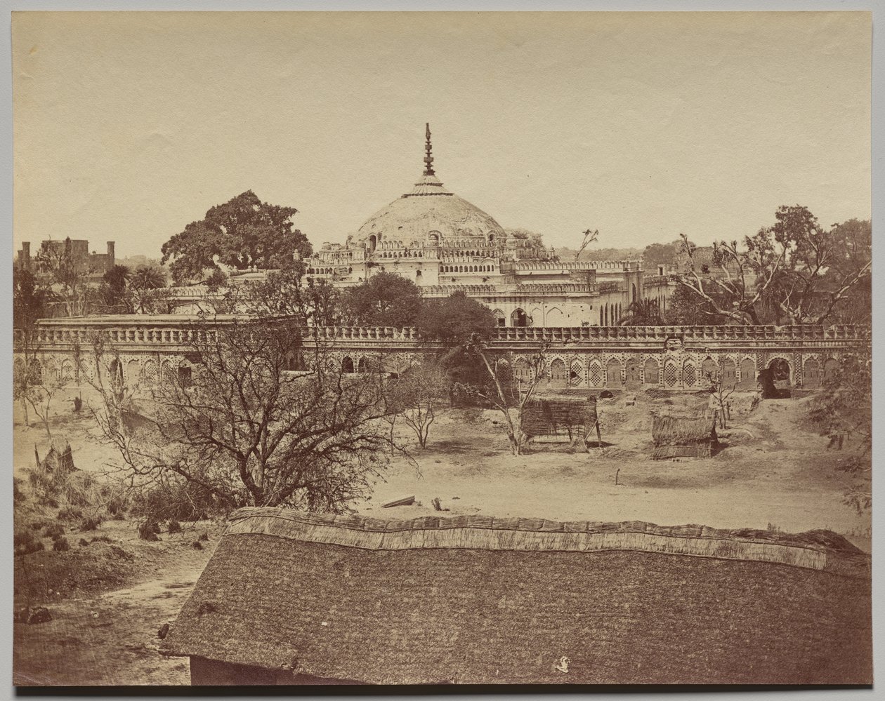  द्वारा फेलिस ए बीटो