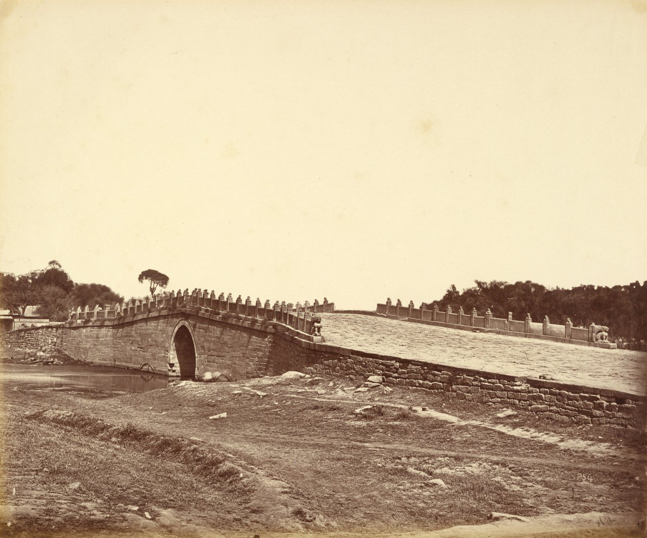  द्वारा फेलिस बीटो