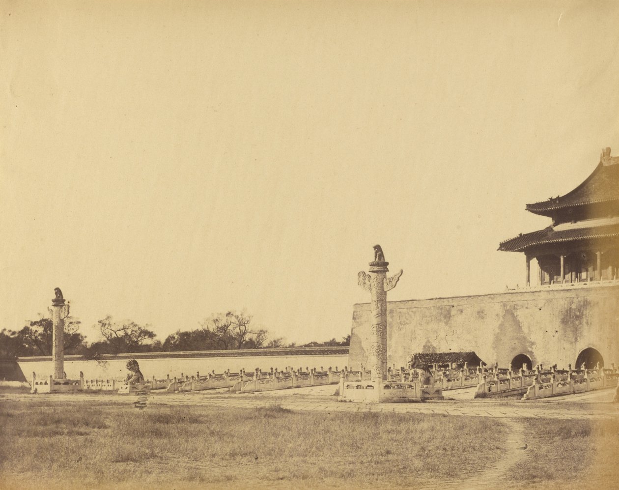  द्वारा फेलिस बीटो