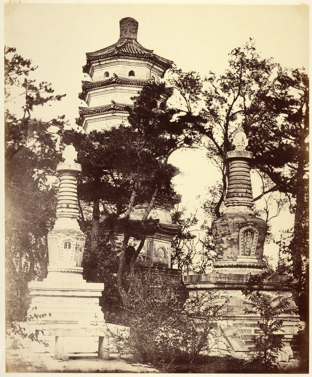  द्वारा फेलिस बीटो