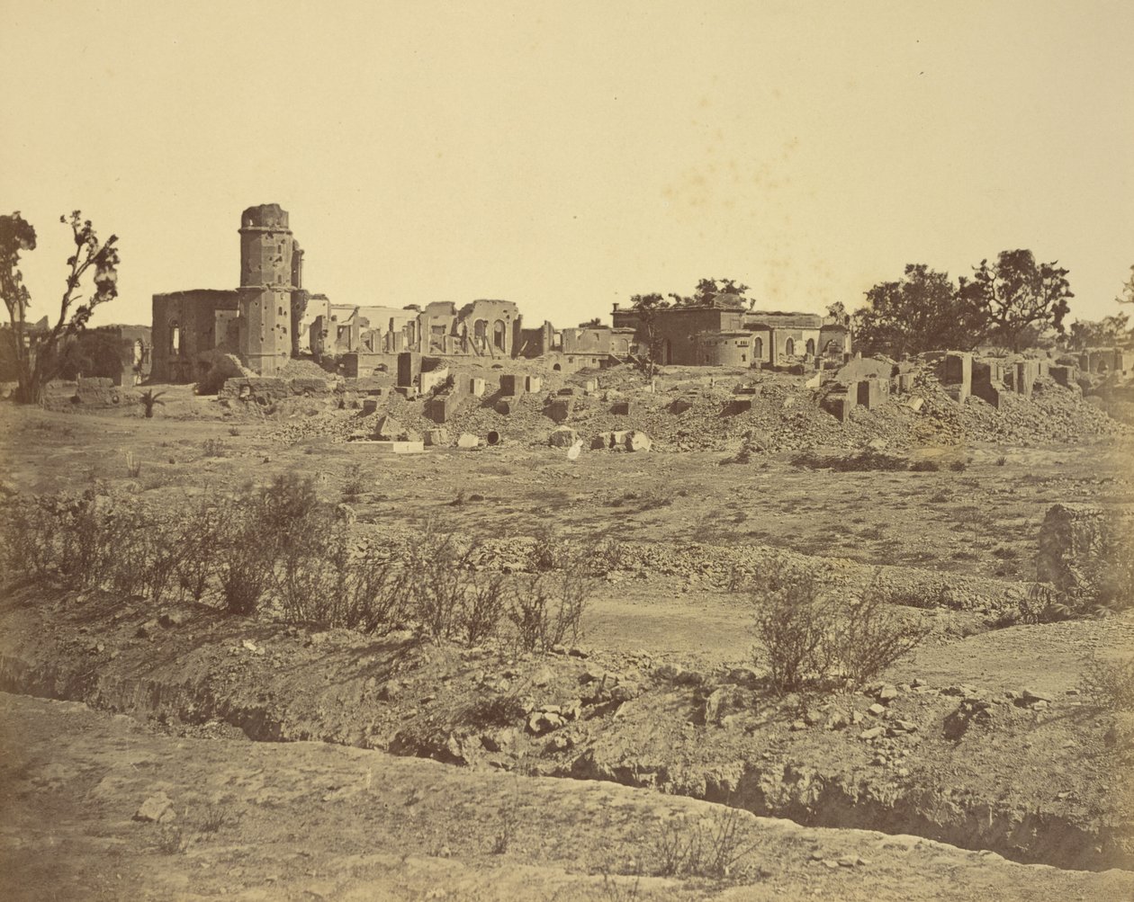  द्वारा फेलिस बीटो