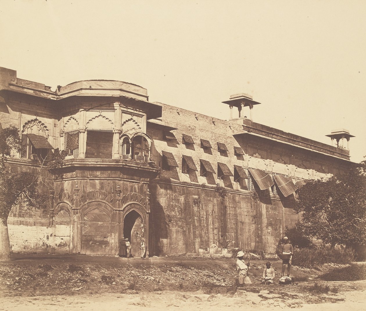 द्वारा फेलिस बीटो