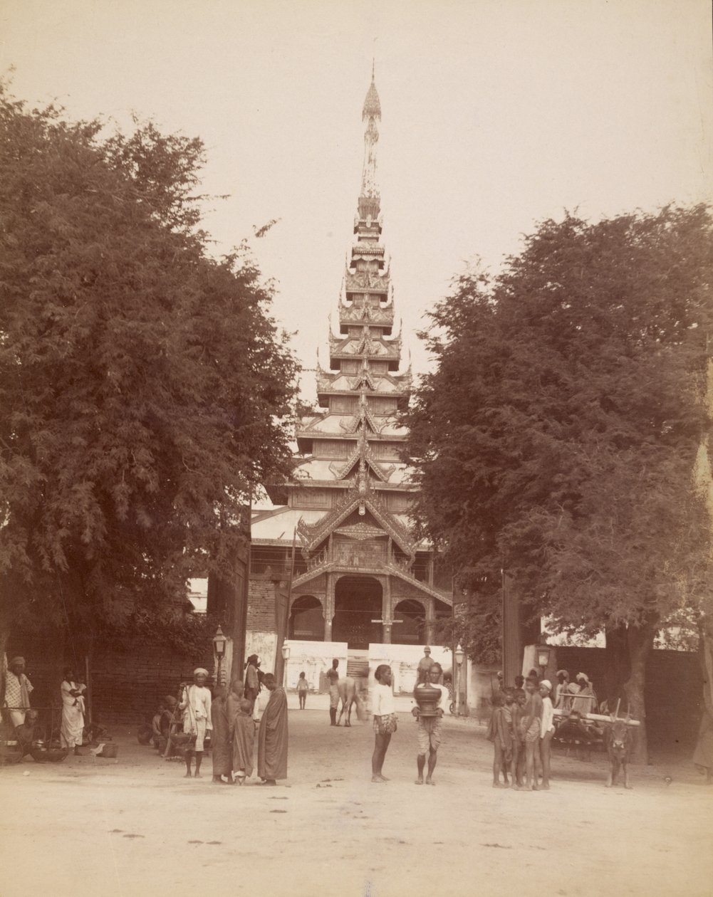  द्वारा फेलिस बीटो