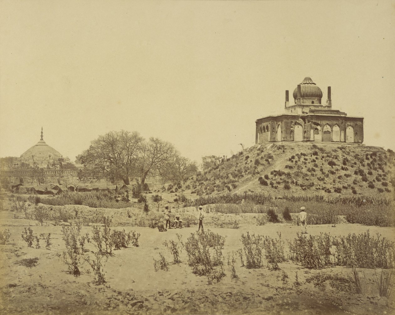  द्वारा फेलिस बीटो