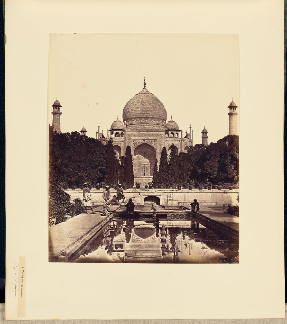  द्वारा फेलिस बीटो