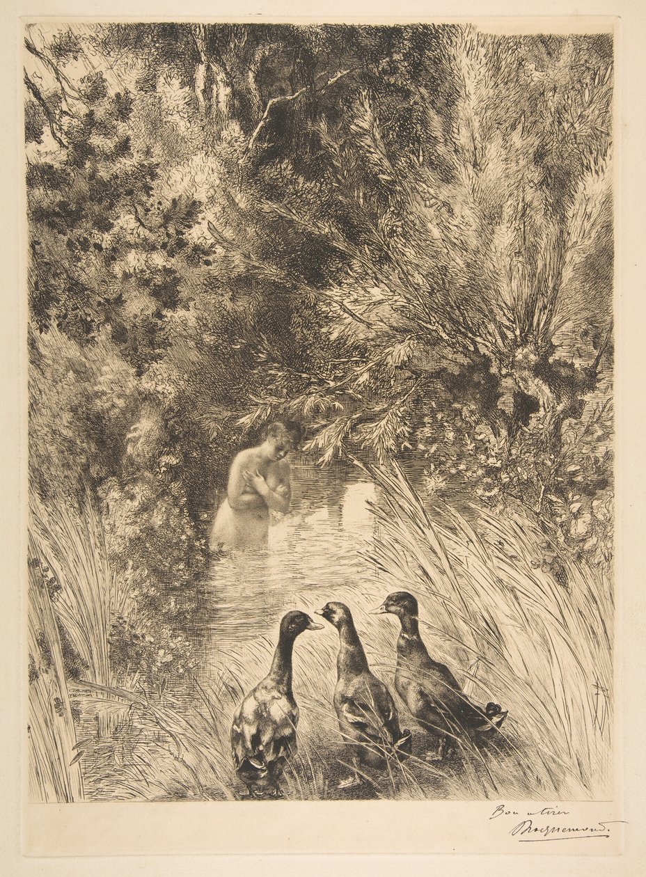बतख को आश्चर्य हुआ, 1882। द्वारा फेलिक्स ब्रैकक्मोंड