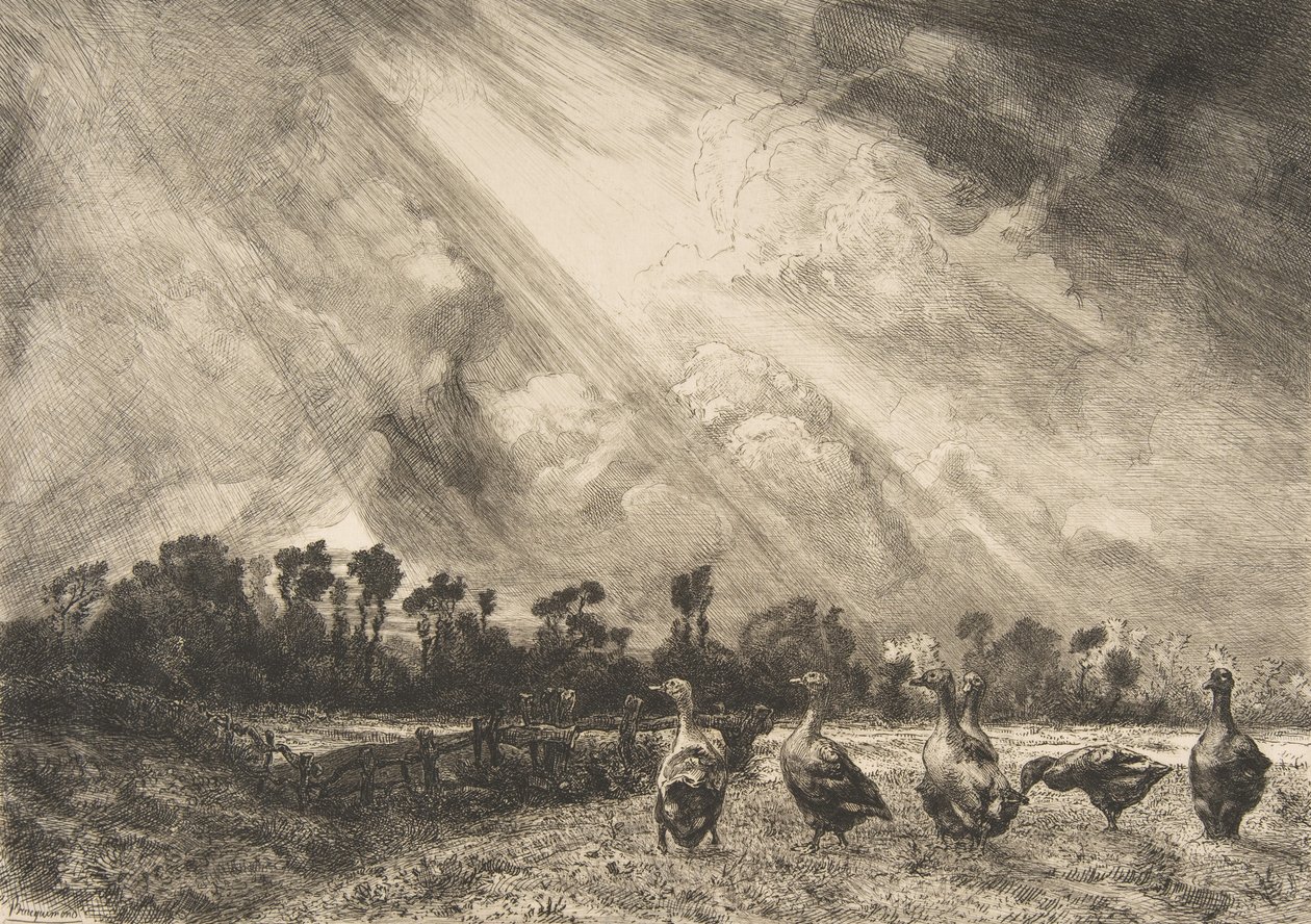 द स्टॉर्म क्लाउड, 1882-84। द्वारा फेलिक्स ब्रैकक्मोंड