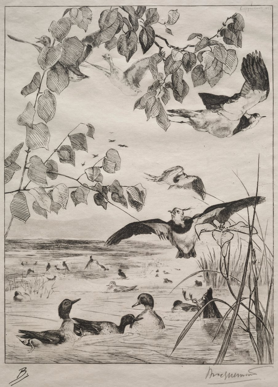 लैपविंग और टील्स, 1862। द्वारा फेलिक्स ब्रैकक्मोंड