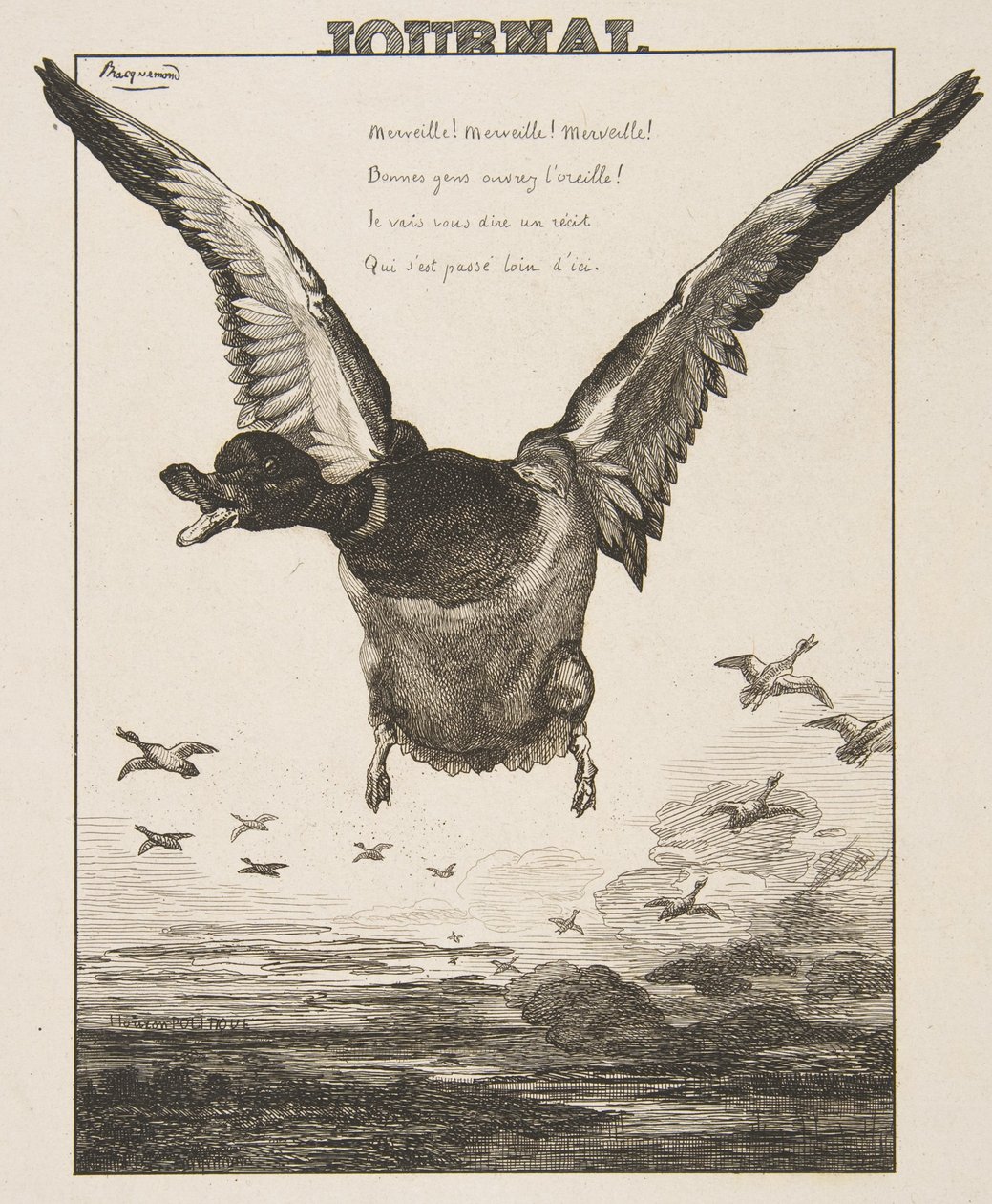 बतख, 1856। द्वारा फेलिक्स ब्रैकक्मोंड
