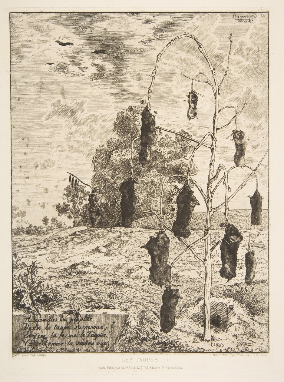 मोल्स, 1854। द्वारा फेलिक्स ब्रैकक्मोंड