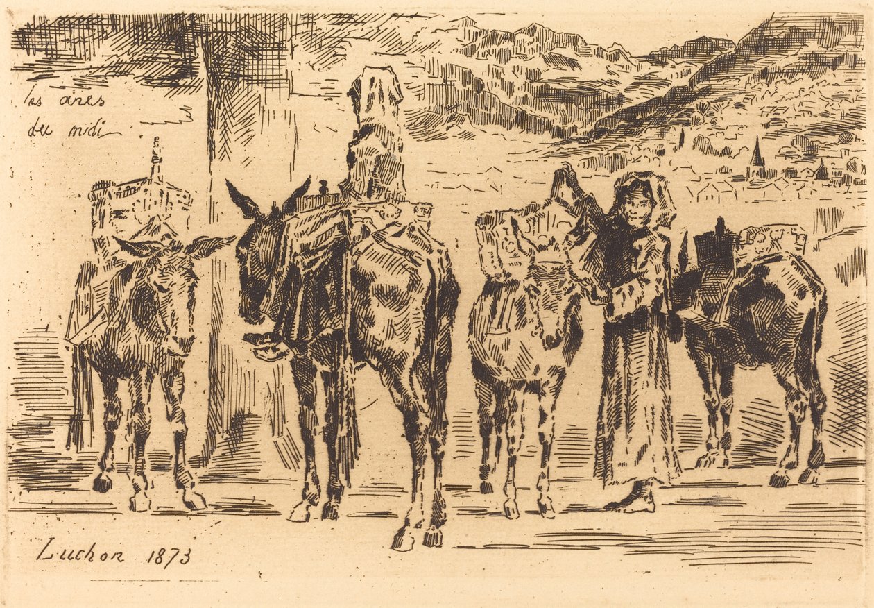 दक्षिण से गधों की चादरें, 1873। द्वारा फेलिक्स हिलैरे बुहोट