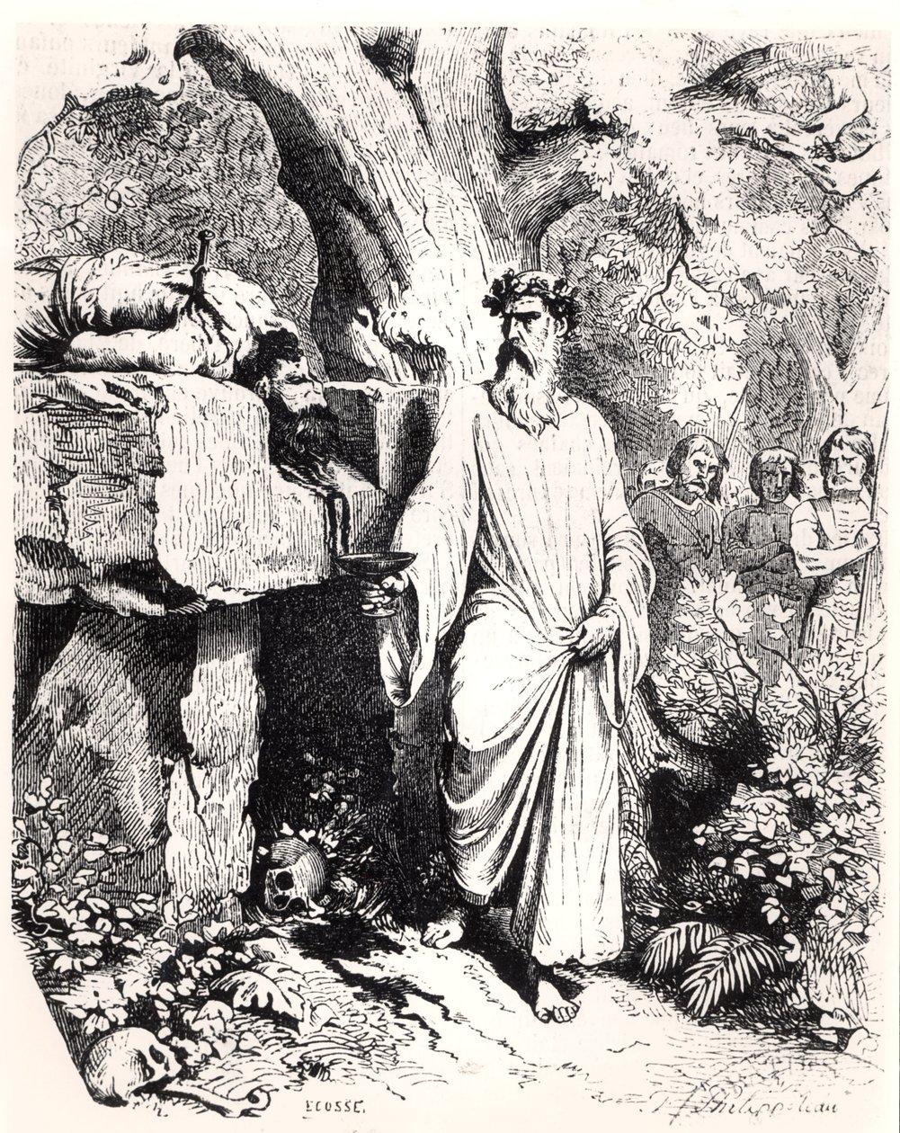 1851 में एलपी एंक्वेट द्वारा &39;हिस्टॉयर डी फ्रांस&39; से एक गॉलिश ड्र्यूड द्वारा मानव बलिदान द्वारा फेलिक्स फिलिपोटेक्स