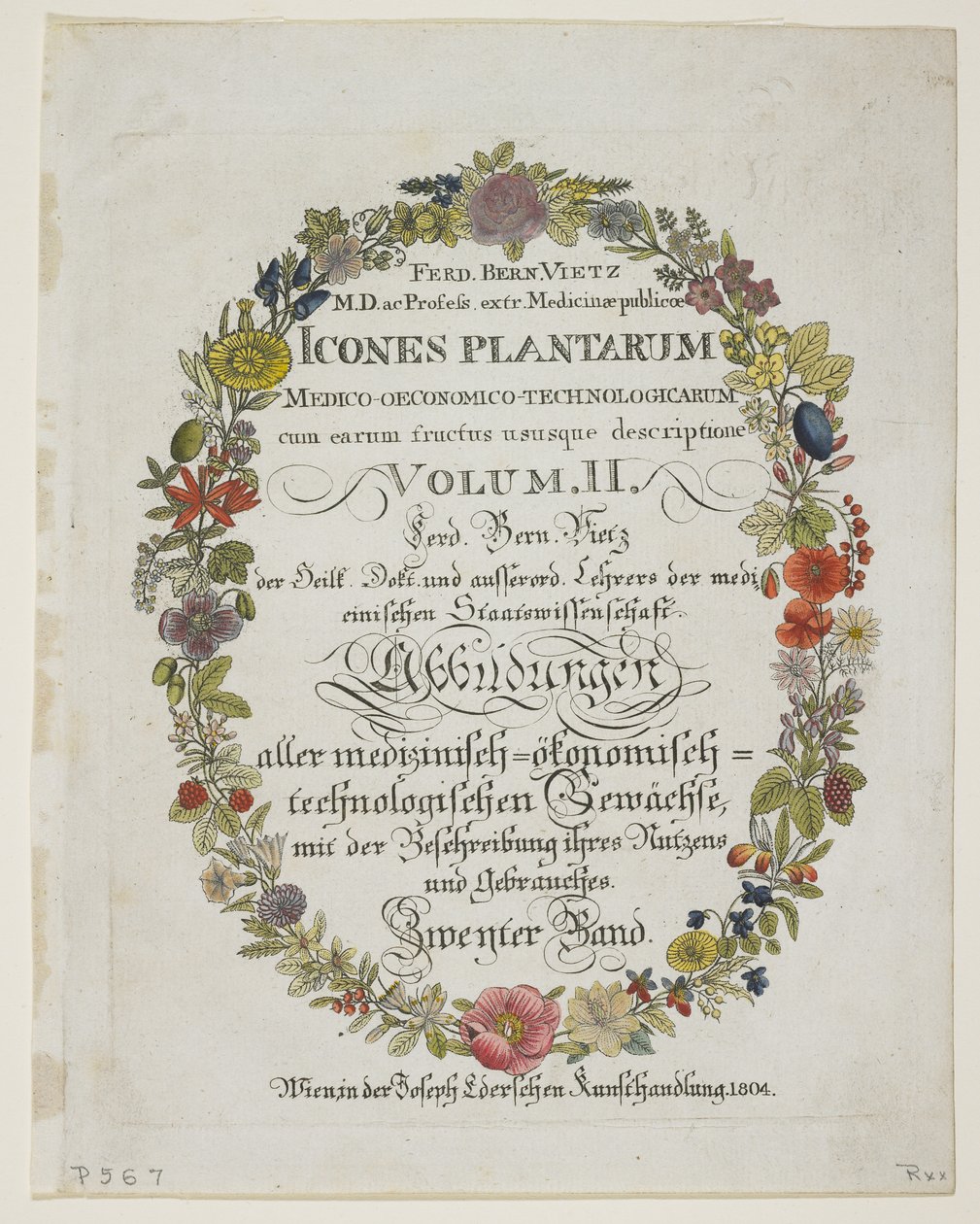 Frontispiece और शीर्षक पृष्ठ, खंड। 2, माउस से Planta मेडिका उनके रिटर्न के साथ आर्थिक-तकनीकी विवरण अनुभव 1804 (हाथ से रंग का उत्कीर्णन) द्वारा फर्डिनेंड बर्नहार्ड विट्ज़