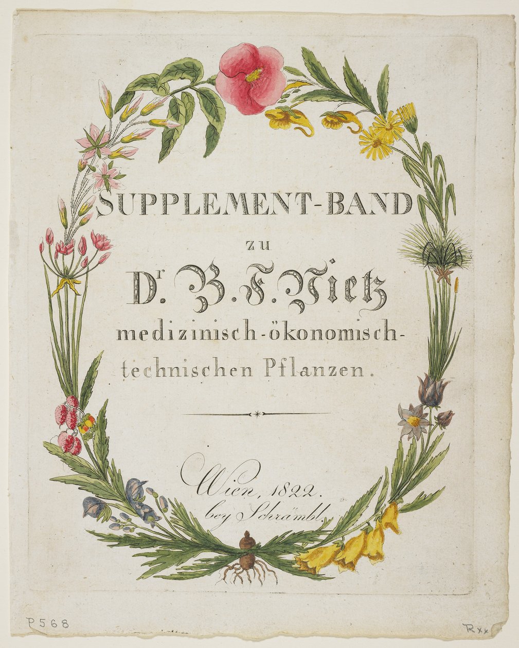Frontispiece और शीर्षक पृष्ठ अनुपूरक बैंड zu डॉ को बी Vietz medizinisch-ökonomisch-Technischen माउस Planta मेडिका आर्थिक-तकनीकी उनके रिटर्न descrip साथ अनुभव से पौधों, द्वारा फर्डिनेंड बर्नहार्ड विट्ज़