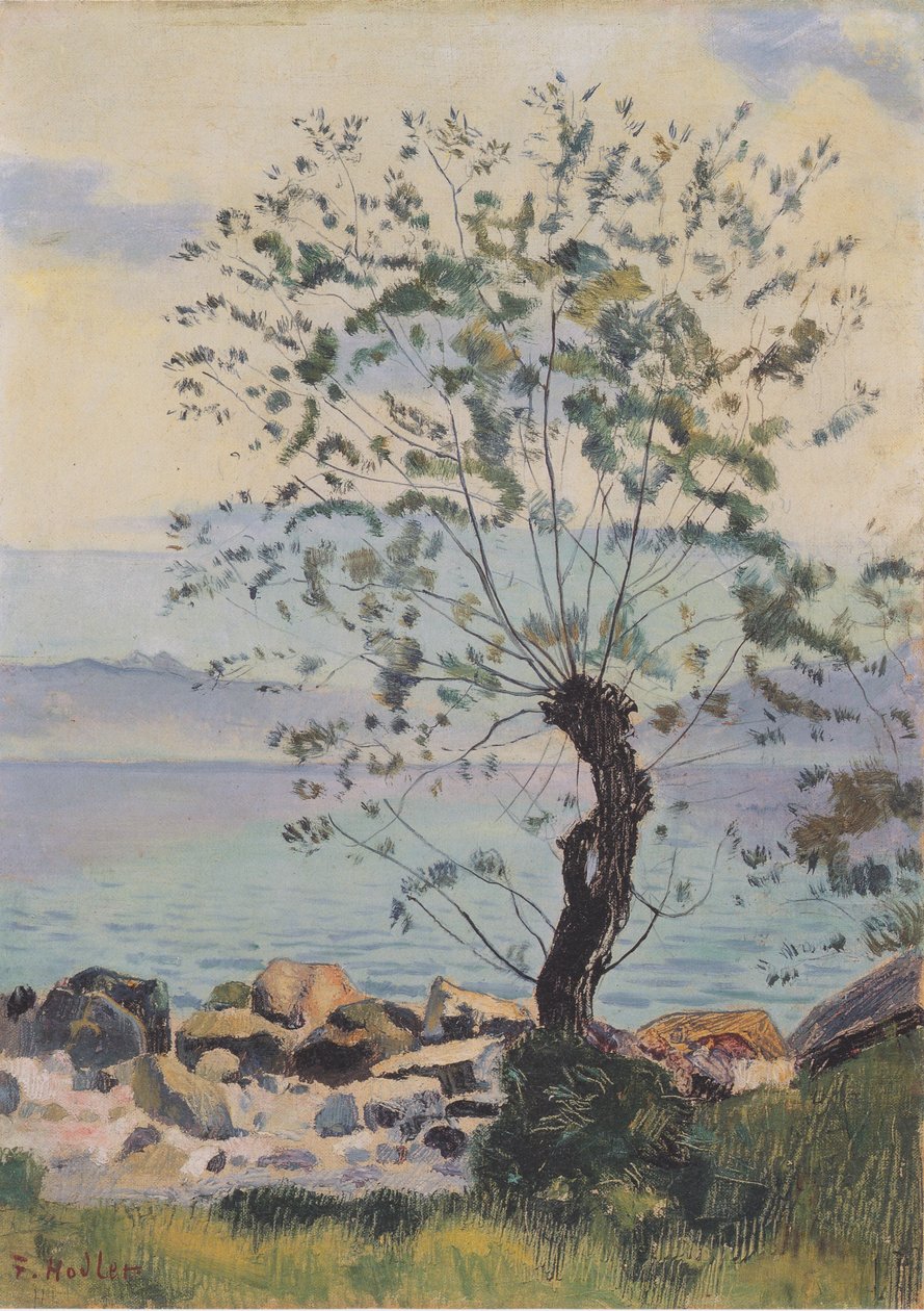 Weidebaum am See द्वारा फर्डिनेंड होडलर