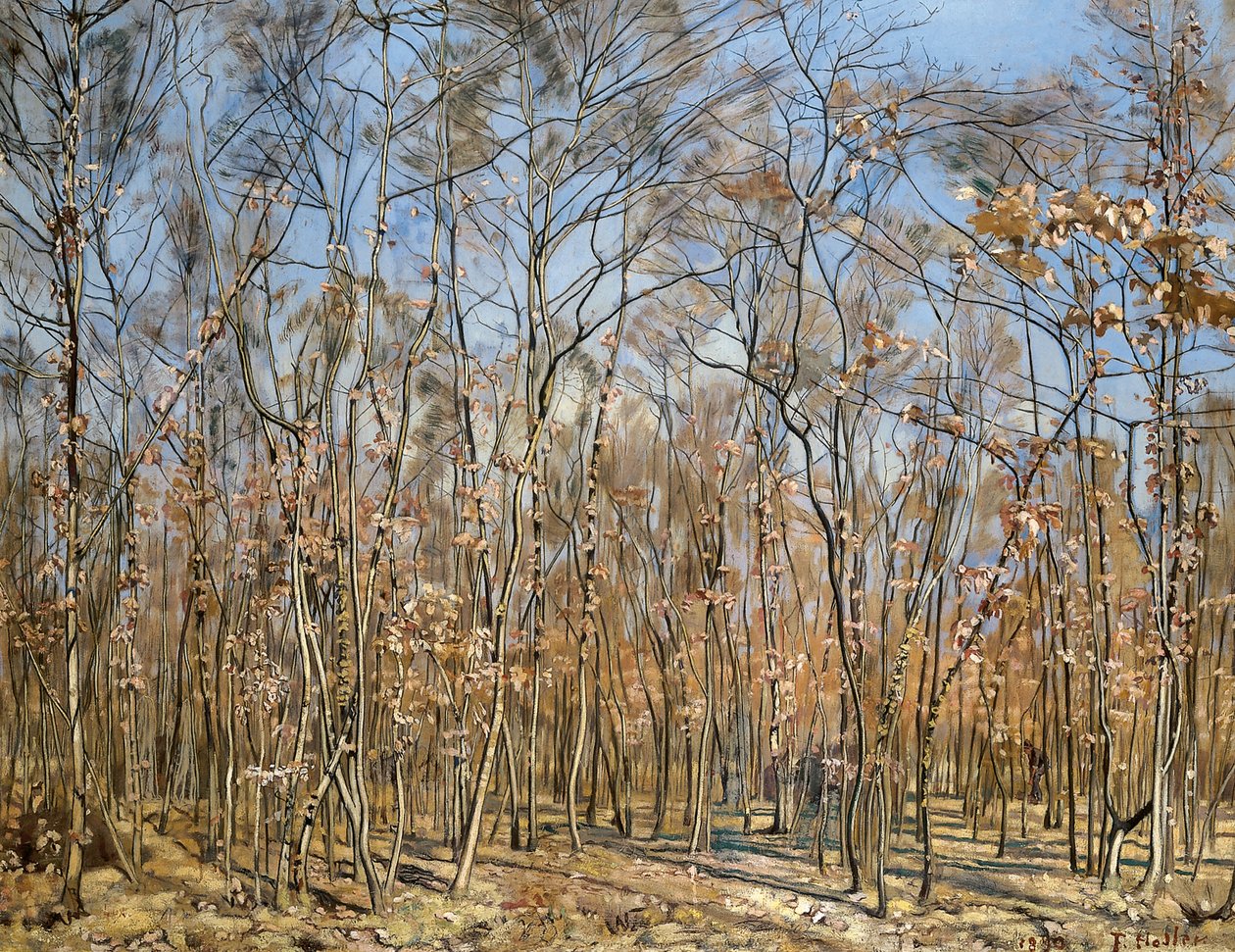 बीच जंगल, 1885-1894। द्वारा फर्डिनेंड होडलर