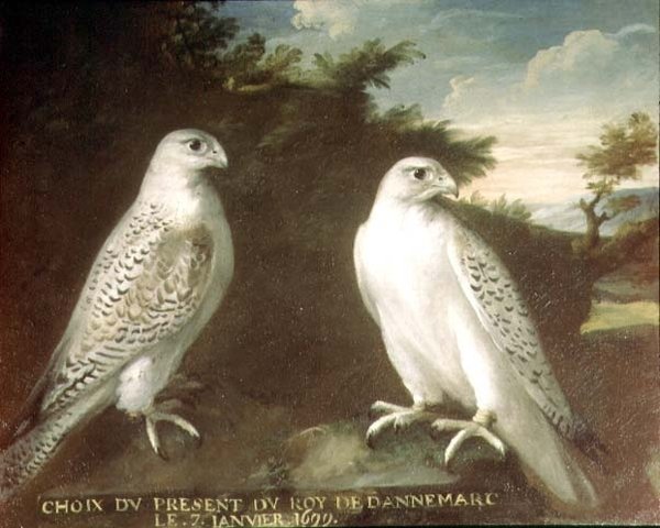 एक लैंडस्केप में Gyrfalcons की जोड़ी द्वारा फर्डिनेंड फिलिप डी हैमिल्टन