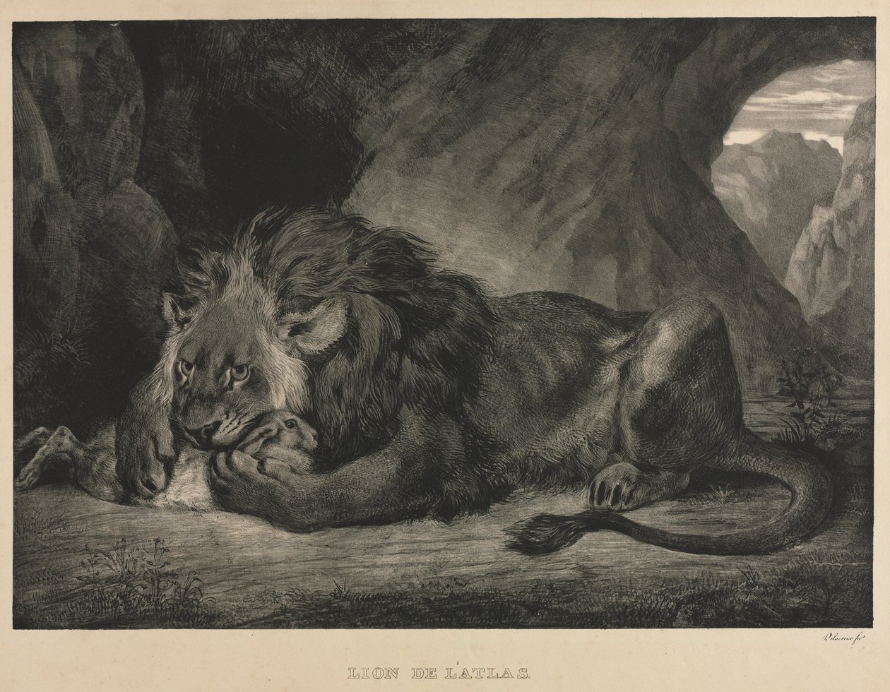 लायन डी लटलस, 1829। द्वारा फर्डिनेंड विक्टर यूजीन डेलाक्रोइक्स