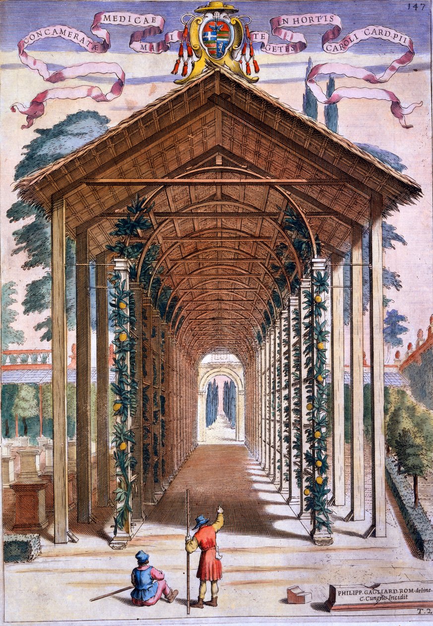 केमोइलो कांगियो (fl.1630) द्वारा उत्कीर्ण गियोवन्नी बतिस्ता फेरारी द्वारा &39;हेस्पेराइड्स&39; से ट्रेक्लाइज्ड कवर्ड वॉकवे, 1646 में प्रकाशित द्वारा फिलीपो गागलियार्डी