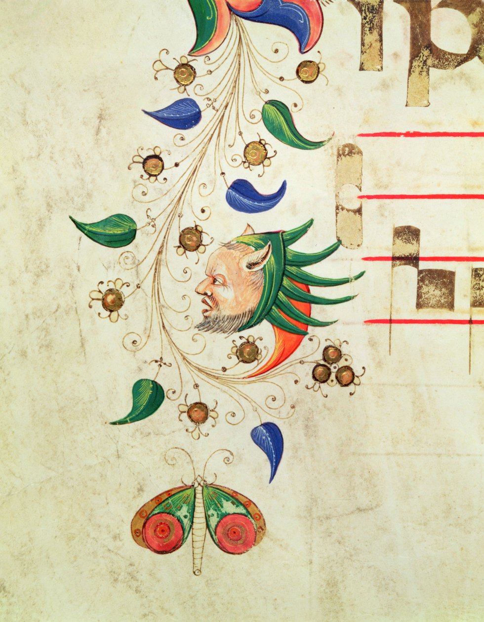 मिसल 515 f.72v ज़ूमोर्फिक पर्ण सीमा, 1449 वल्लुम से पहले चोइर पुस्तक से विस्तार द्वारा फिलिप्पो डी माटेओ टोरेली
